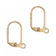Roestvrij stalen (RVS) oorbellen 17mm met 1 oog sluitbaar Goud